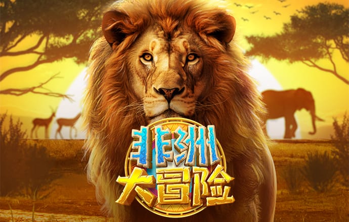 bob半岛平台体育